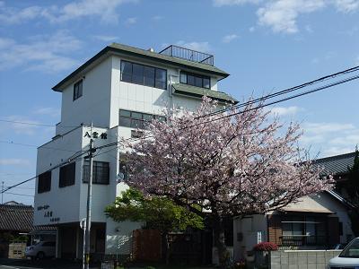 20100410-tukinsakura.JPG